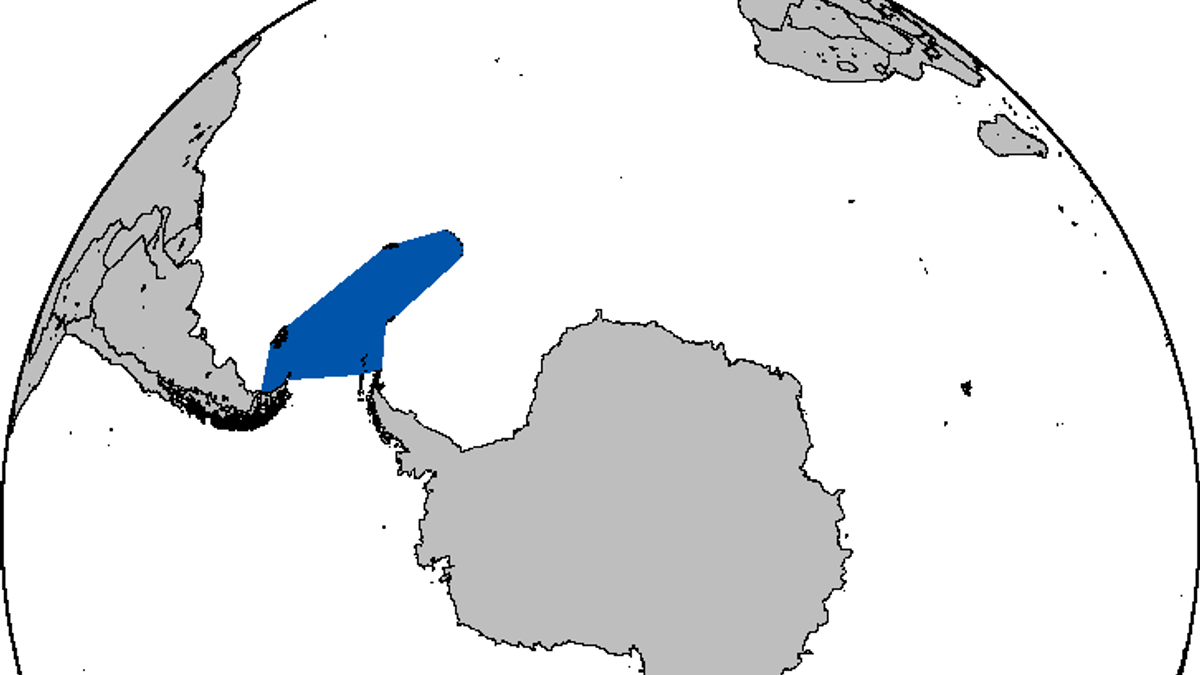 Scotia Sea